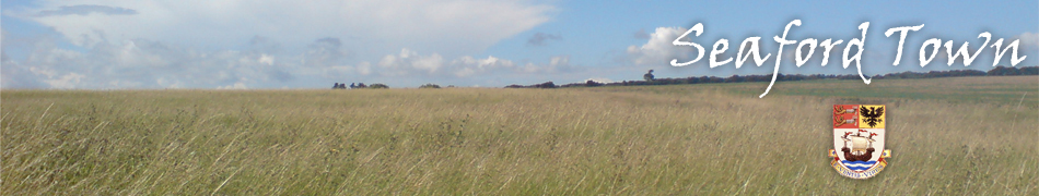 Seaford Town